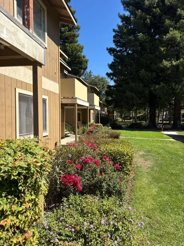What Is The Law SB326 In California?