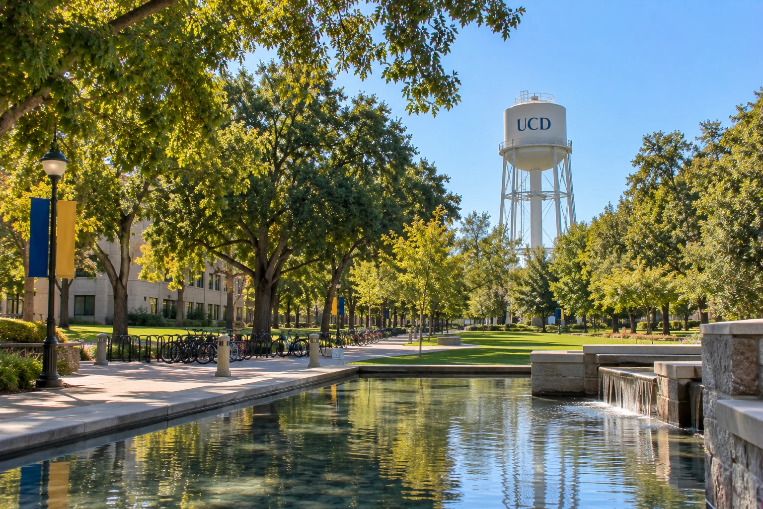 Davis, California