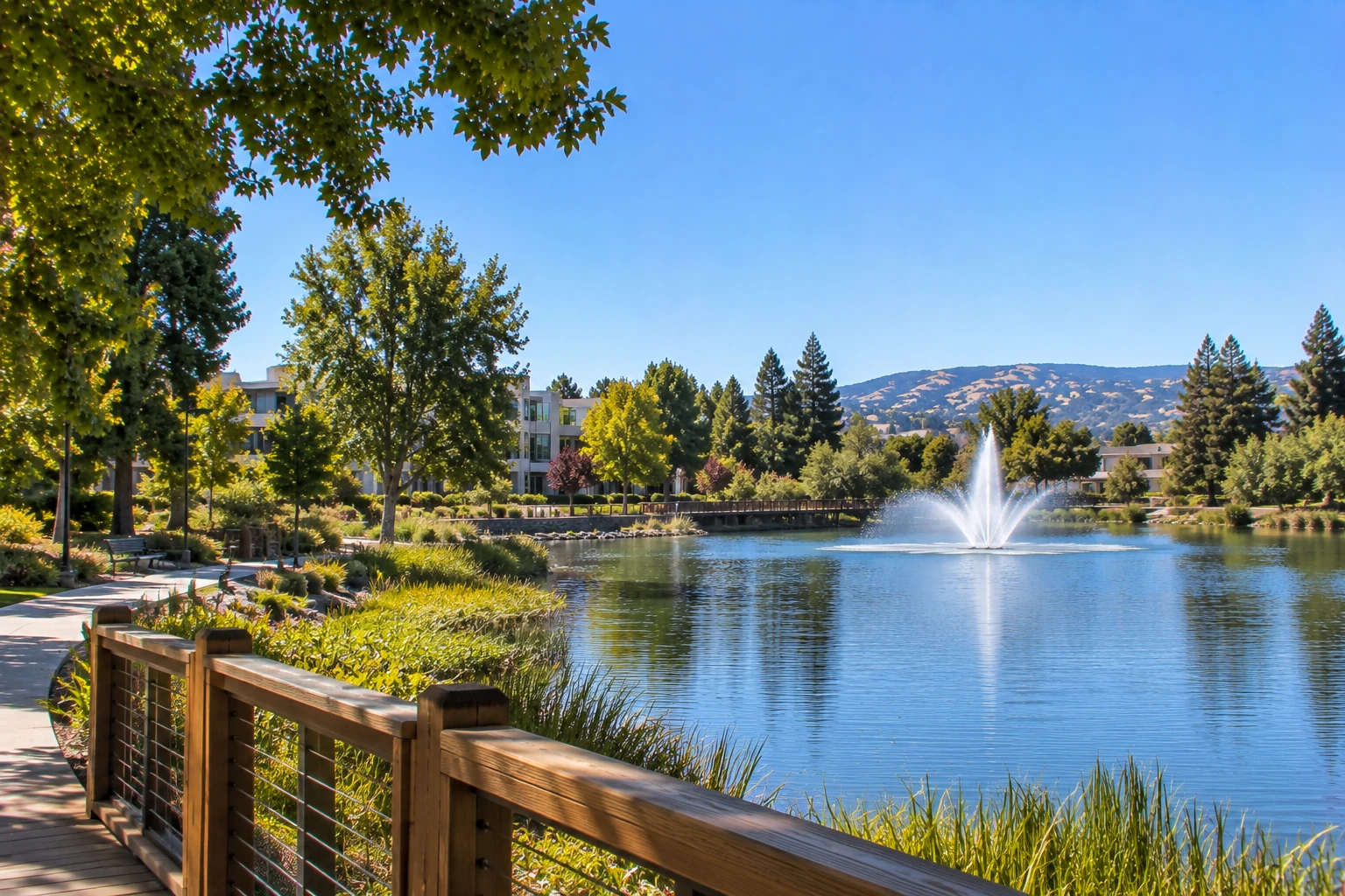 Rohnert Park, California